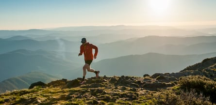 Mt Buller | Home