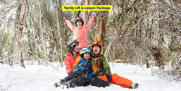 Family lift and lesson package header wide 2