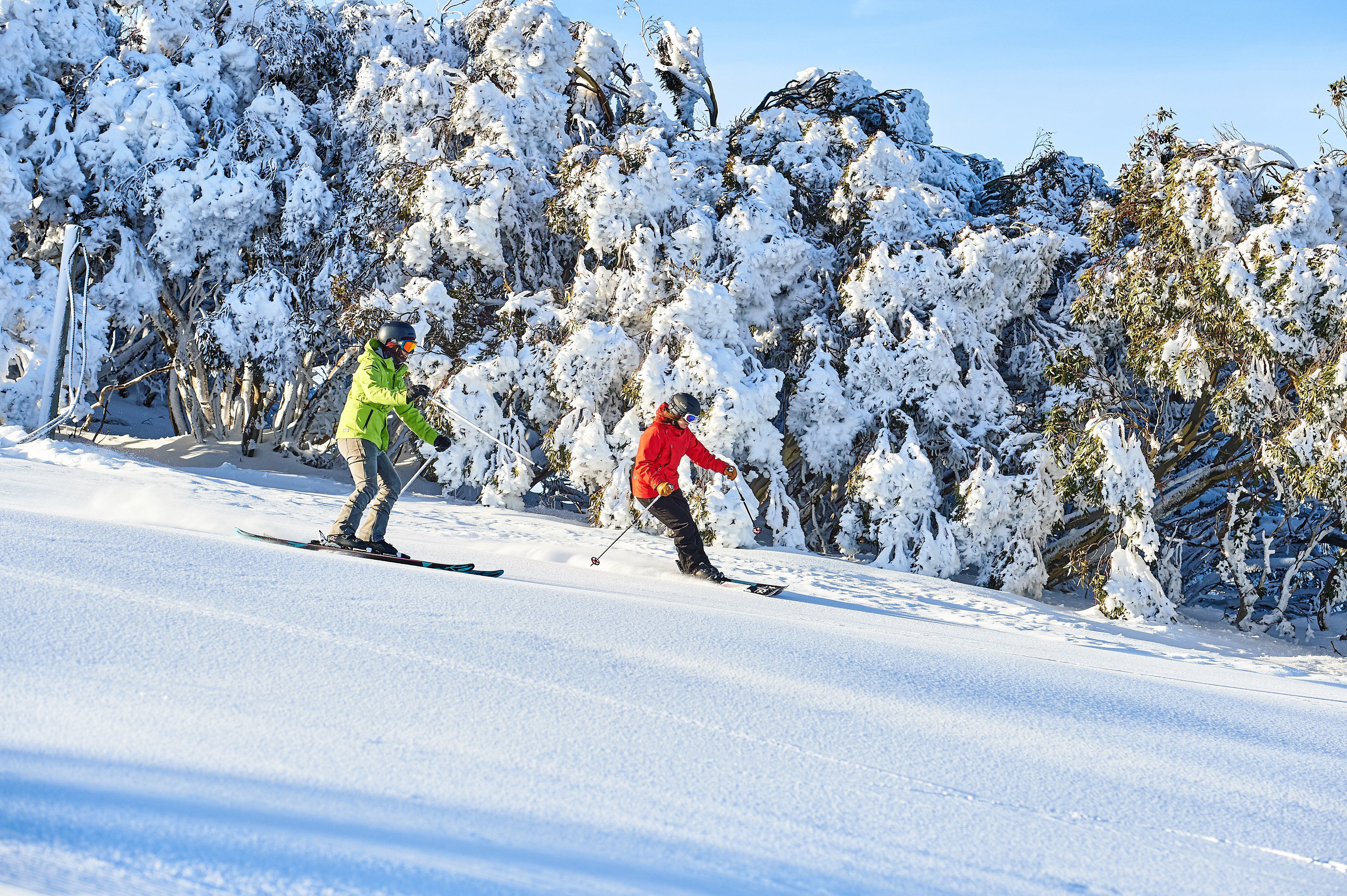 Season Members enjoy unlimited days on the slopes all winter